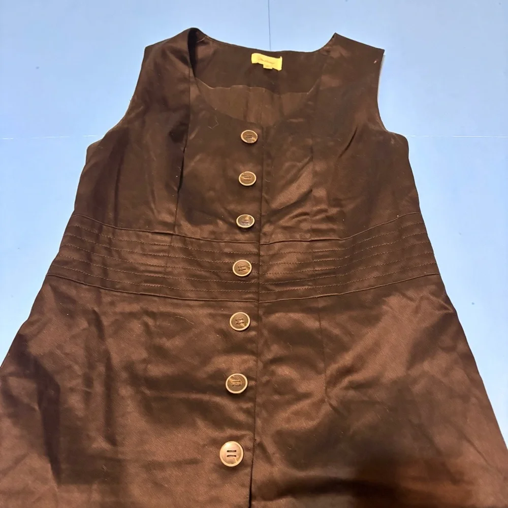 The Limited Black Sleeveless Button-Down Dress - Picture 6 of 12